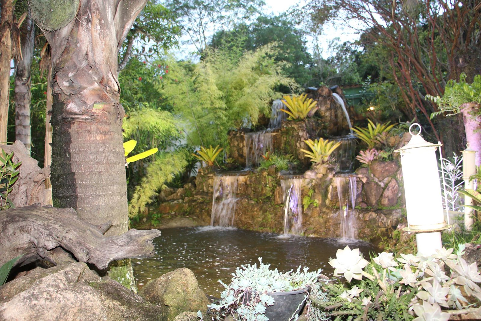 Foto 1 de Espaço Mandacaru